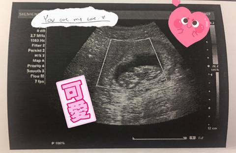 journal_insert_pic_852147222