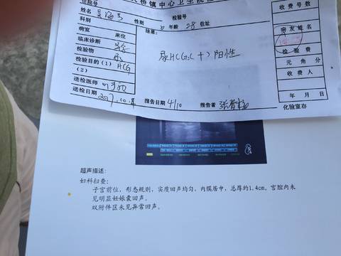 journal_insert_pic_853215341