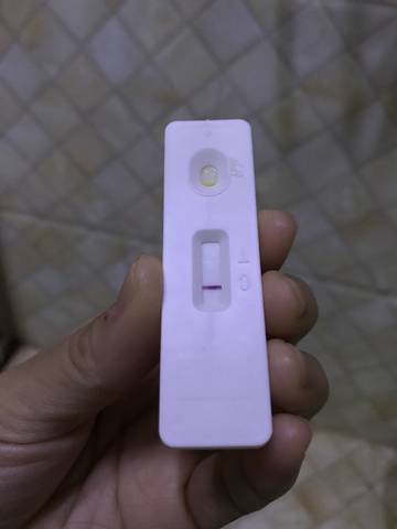 journal_insert_pic_853718755
