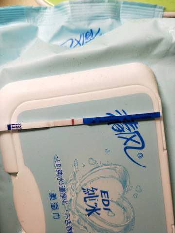 journal_insert_pic_855349457