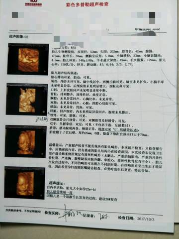 journal_insert_pic_854525012