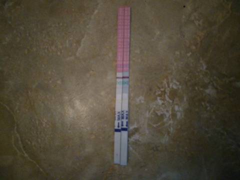 journal_insert_pic_856277940