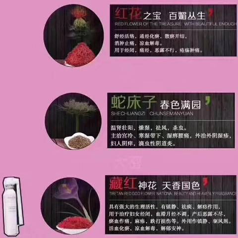 journal_insert_pic_857020654