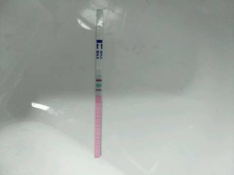 journal_insert_pic_856625081
