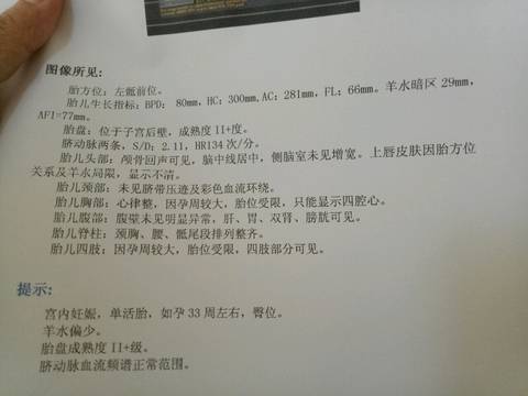 journal_insert_pic_858873525