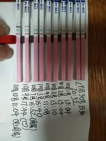 journal_insert_pic_858462537