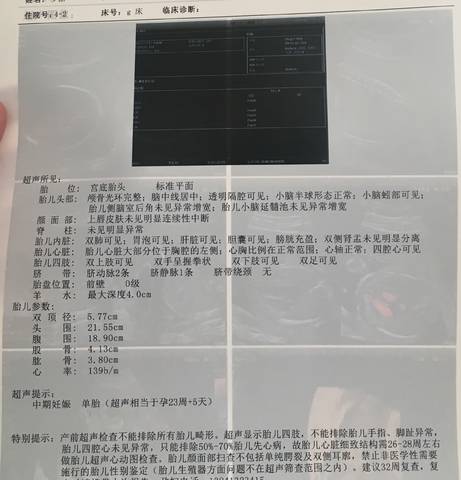 journal_insert_pic_859419567
