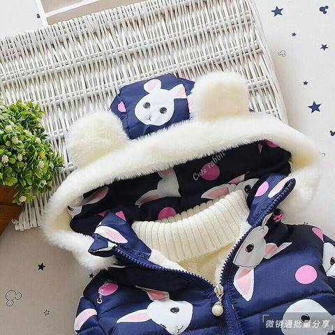 journal_insert_pic_859772152