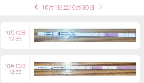 journal_insert_pic_861148261
