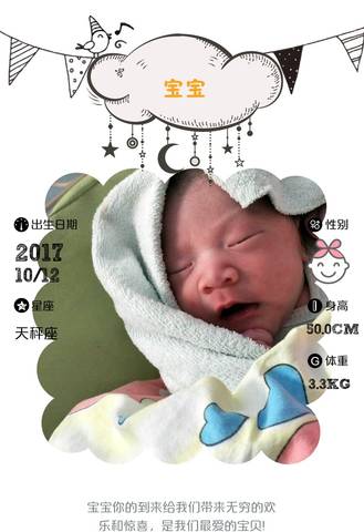 journal_insert_pic_862525250