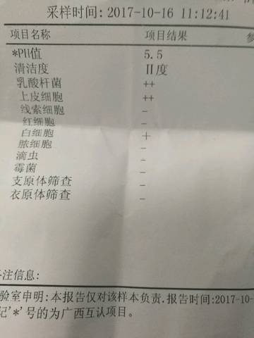 journal_insert_pic_864636776