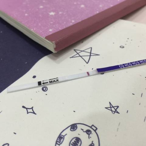 journal_insert_pic_864476798