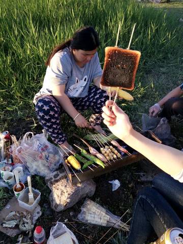 journal_insert_pic_865245250