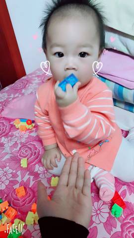 journal_insert_pic_865838460