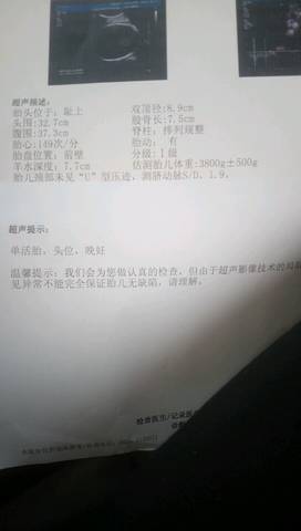 journal_insert_pic_866119515