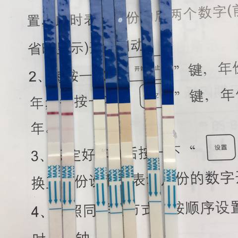journal_insert_pic_866541052