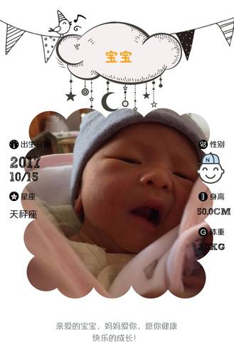 journal_insert_pic_867645872