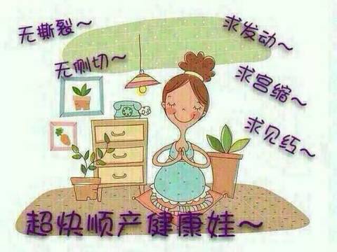 journal_insert_pic_867693366