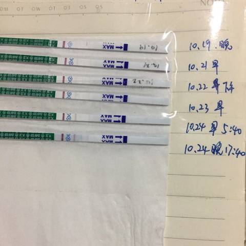 journal_insert_pic_869082133