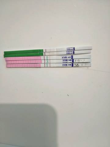 journal_insert_pic_869171162