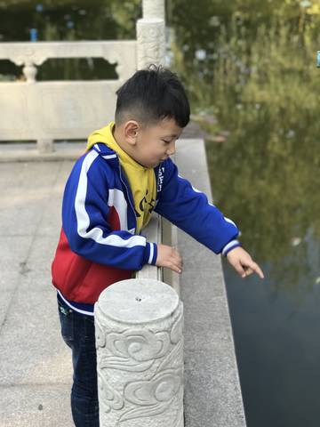 journal_insert_pic_869124307
