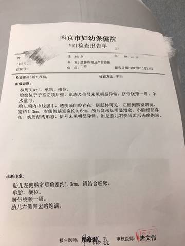 journal_insert_pic_869079603