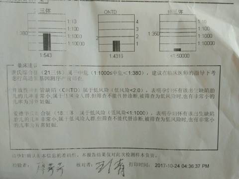 journal_insert_pic_870282858