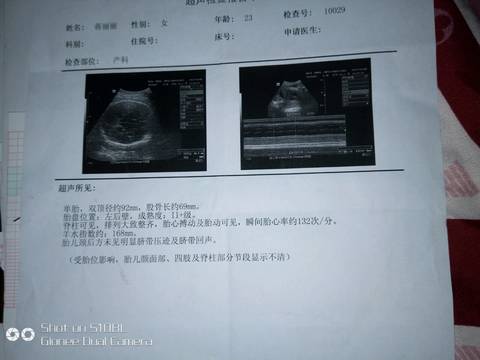 journal_insert_pic_870838093
