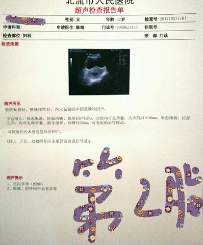 journal_insert_pic_872590530