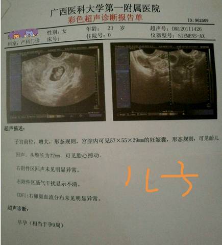 journal_insert_pic_872590516