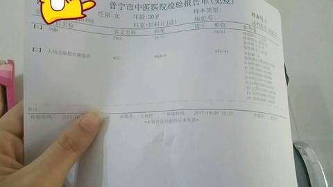 journal_insert_pic_873419445
