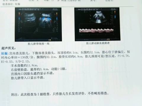 journal_insert_pic_873932024