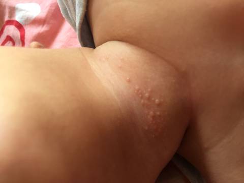 journal_insert_pic_874955067