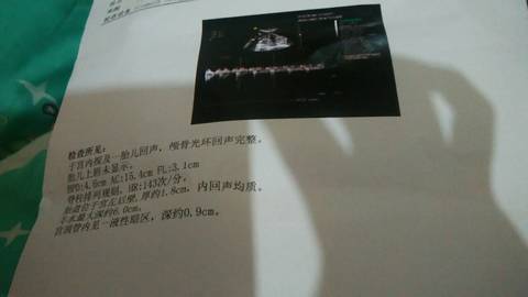 journal_insert_pic_876352909