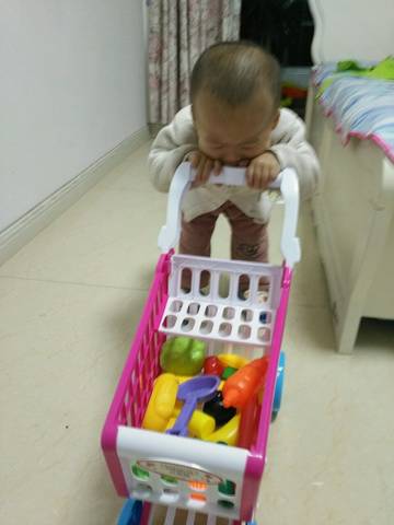 journal_insert_pic_876772605