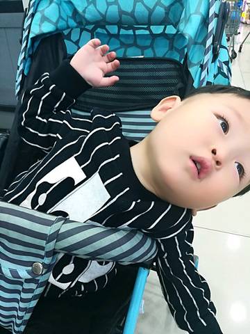 journal_insert_pic_877352152