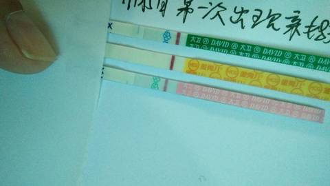 journal_insert_pic_878331048