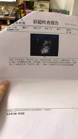 journal_insert_pic_878539510