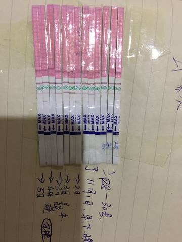 journal_insert_pic_878197283