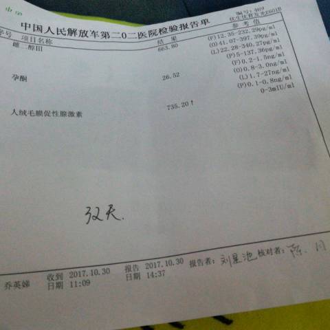journal_insert_pic_878523580