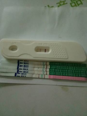 journal_insert_pic_878281676