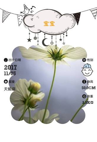 journal_insert_pic_878377019