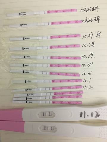 journal_insert_pic_879356771