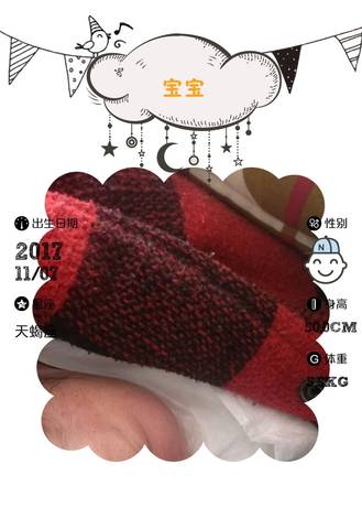 journal_insert_pic_879107045