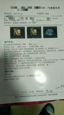 journal_insert_pic_879576011
