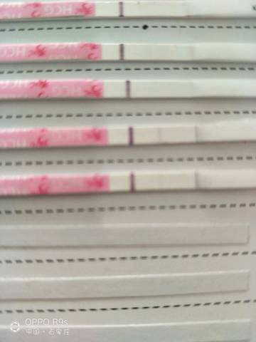 journal_insert_pic_879788339