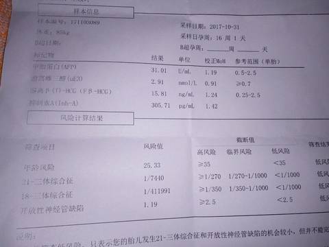 journal_insert_pic_880494953