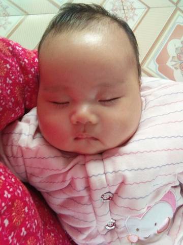 journal_insert_pic_880493178