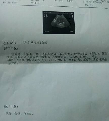 journal_insert_pic_880418285