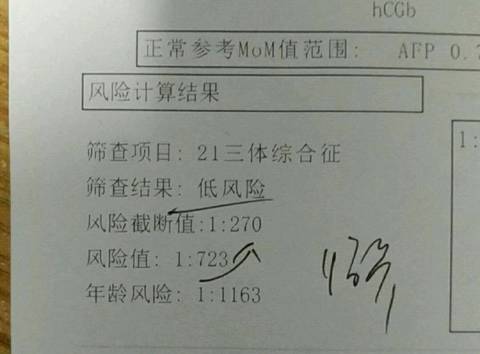 journal_insert_pic_880964972